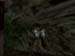 tomb3_04